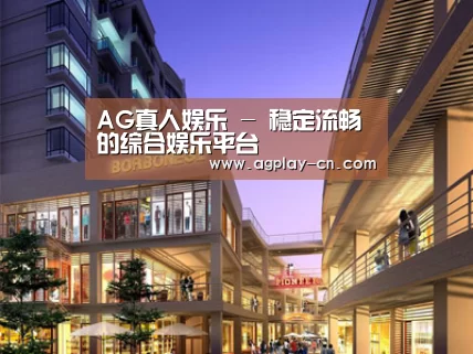 案例展示一(图1)