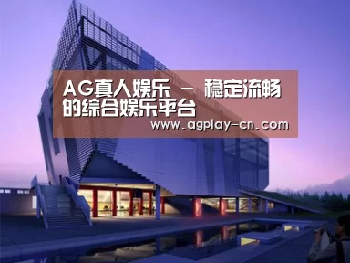 案例展示六