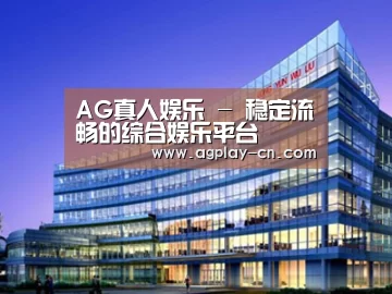 案例展示五