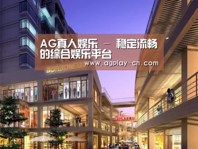 案例展示一