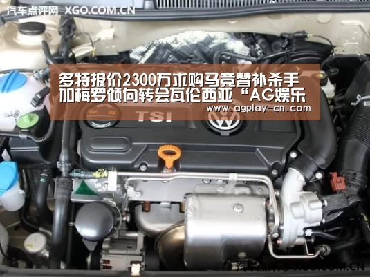 AG娱乐