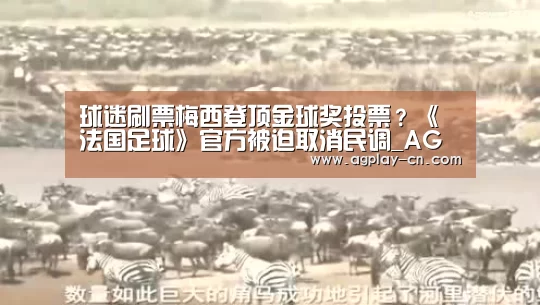 AG娱乐