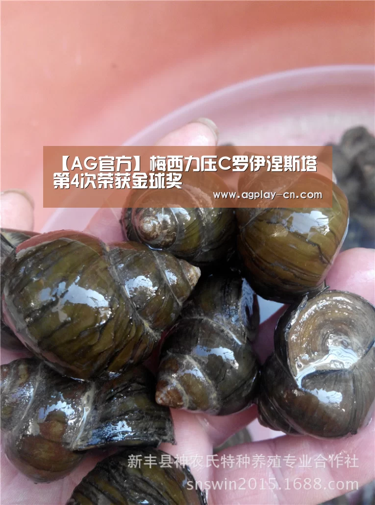AG官方