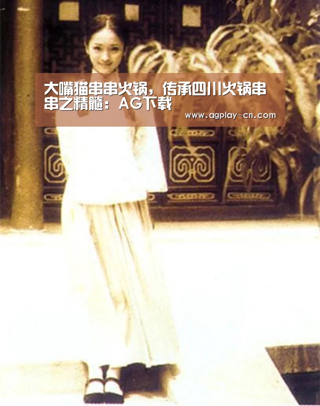 大嘴猫串串火锅,传承四川火锅串串之精髓:AG下载(图1) AG官方